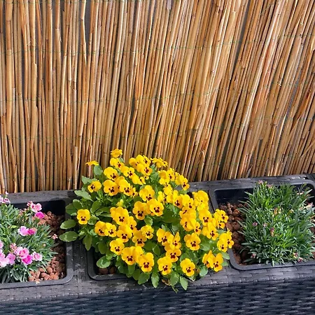 Geraeumiges City-apartment Klagenfurt شقة